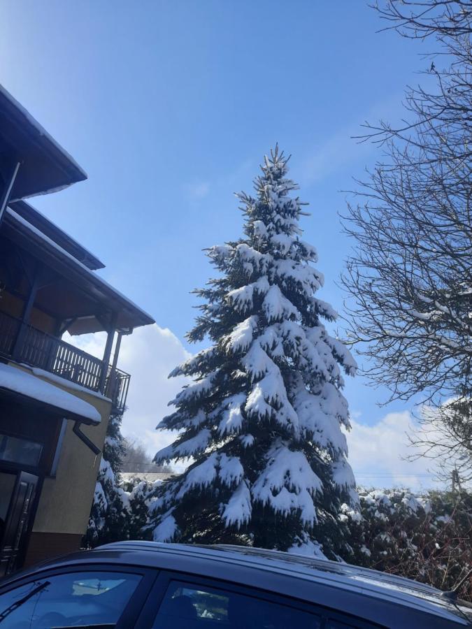 Apartament Naleczow Dom Pod Orzechami ภายนอก รูปภาพ
